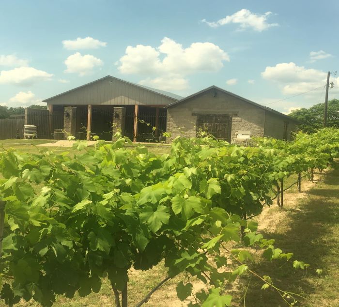 Our Winery